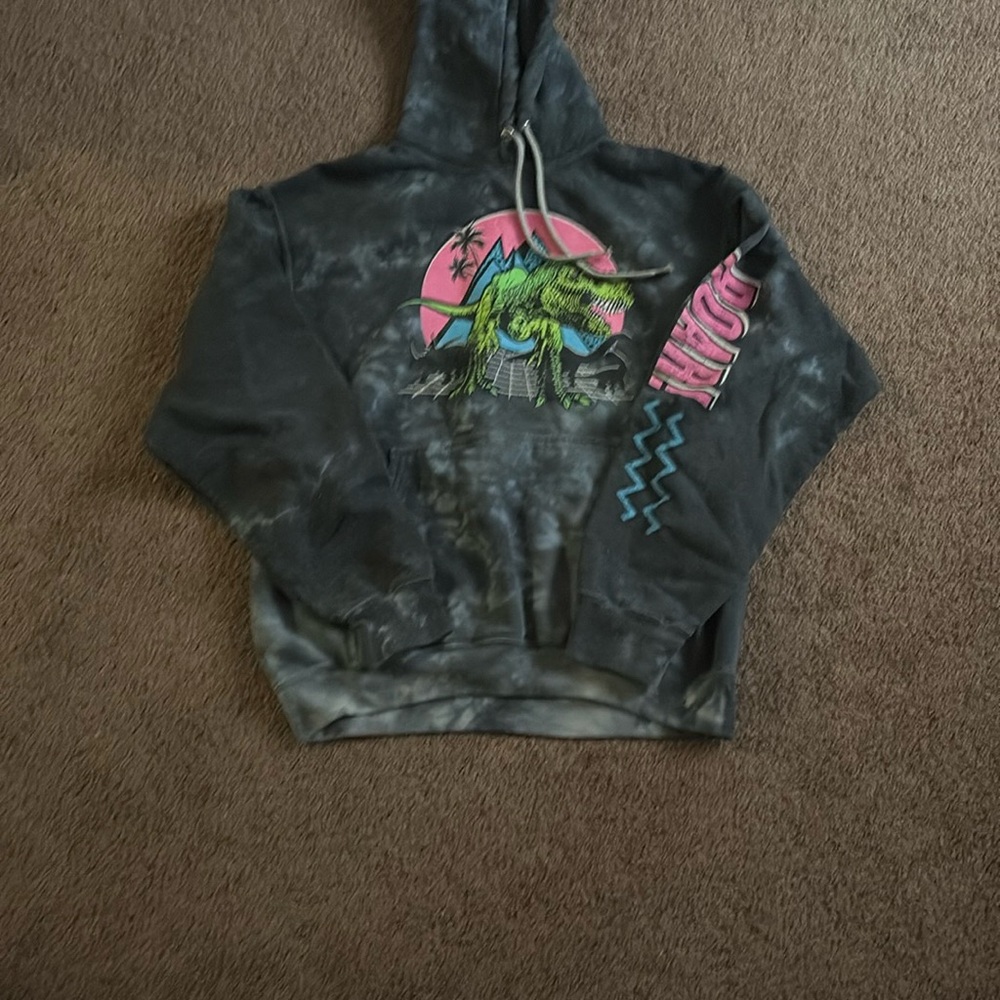 Graphic Dinosaur Hoodie